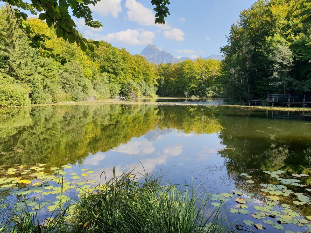 Entre Lac Et Montagnes Bernex Ngoại thất bức ảnh